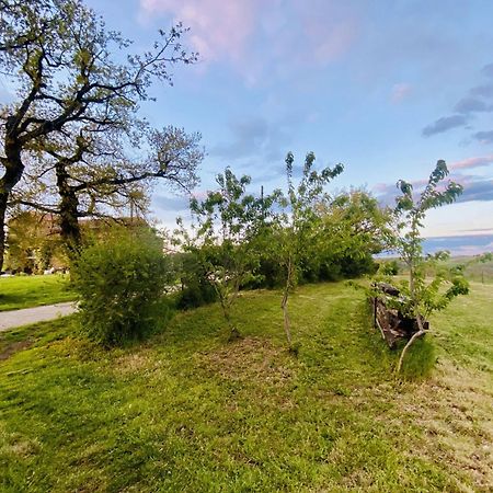 La Bouriote - L'Etable Villa Villefranche-dʼAlbigeois Dış mekan fotoğraf