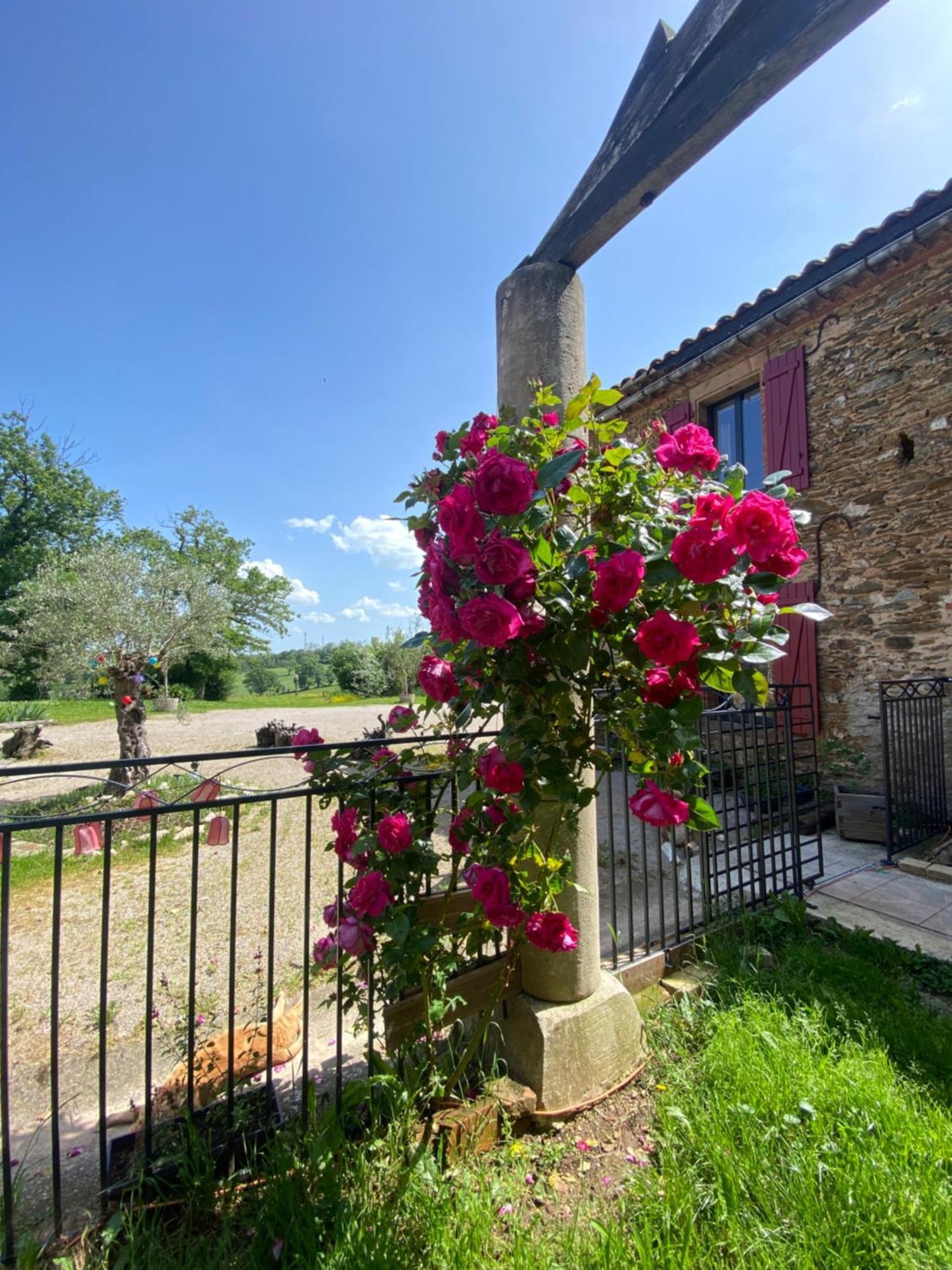 La Bouriote - L'Etable Villa Villefranche-dʼAlbigeois Dış mekan fotoğraf