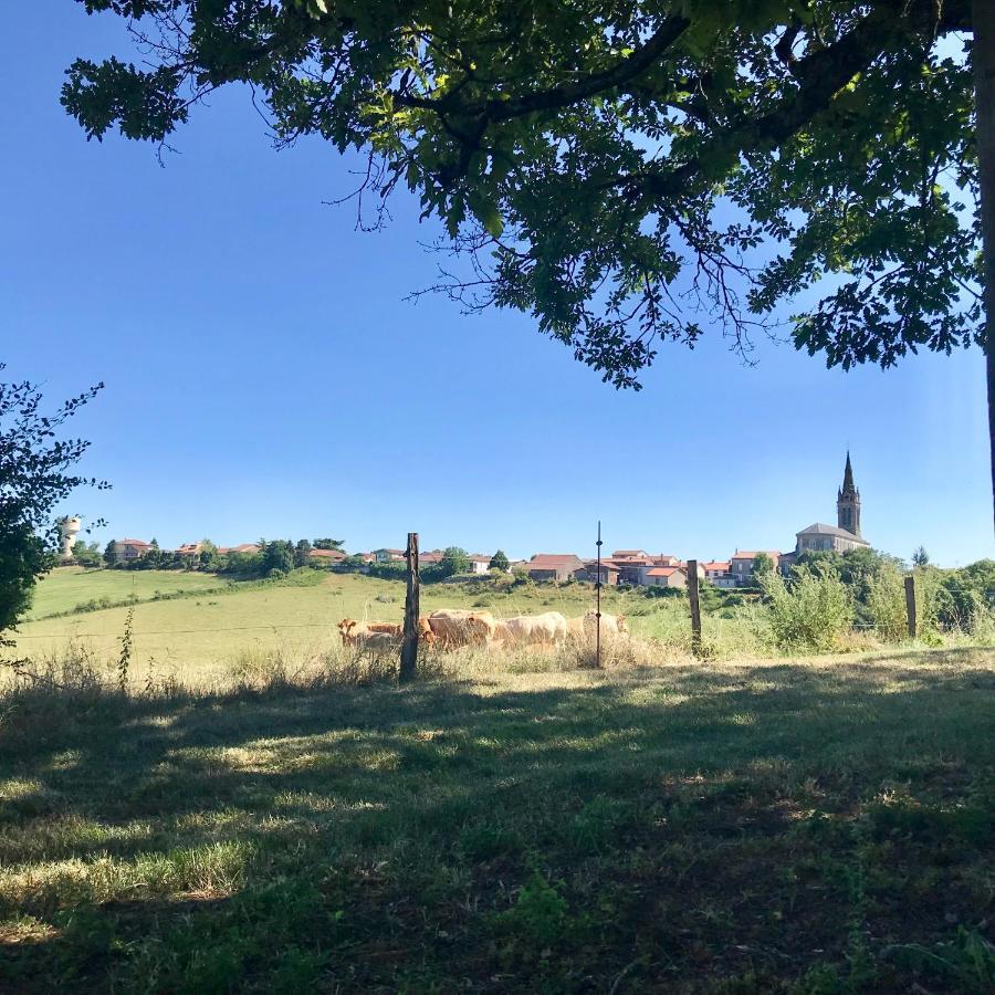 La Bouriote - L'Etable Villa Villefranche-dʼAlbigeois Dış mekan fotoğraf